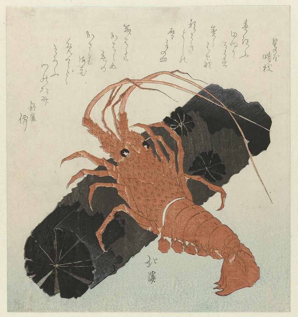 Kreeft met houtskool (1830 - 1839) by Totoya Hokkei, Hoshinoya Seishi and Tsuruashi Gakusha