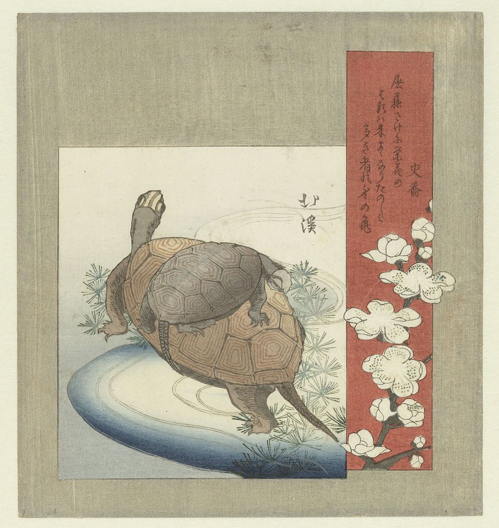 Schildpadden (c. 1826) by Totoya Hokkei and Shikyô