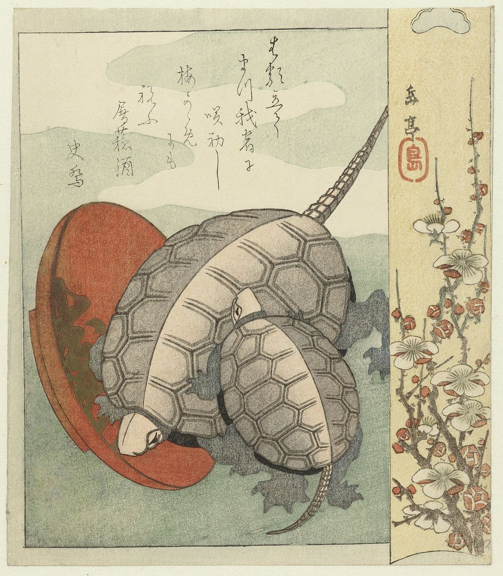 Schildpadden met sake schaaltje (c. 1826) by Yashima Gakutei and Shikyô