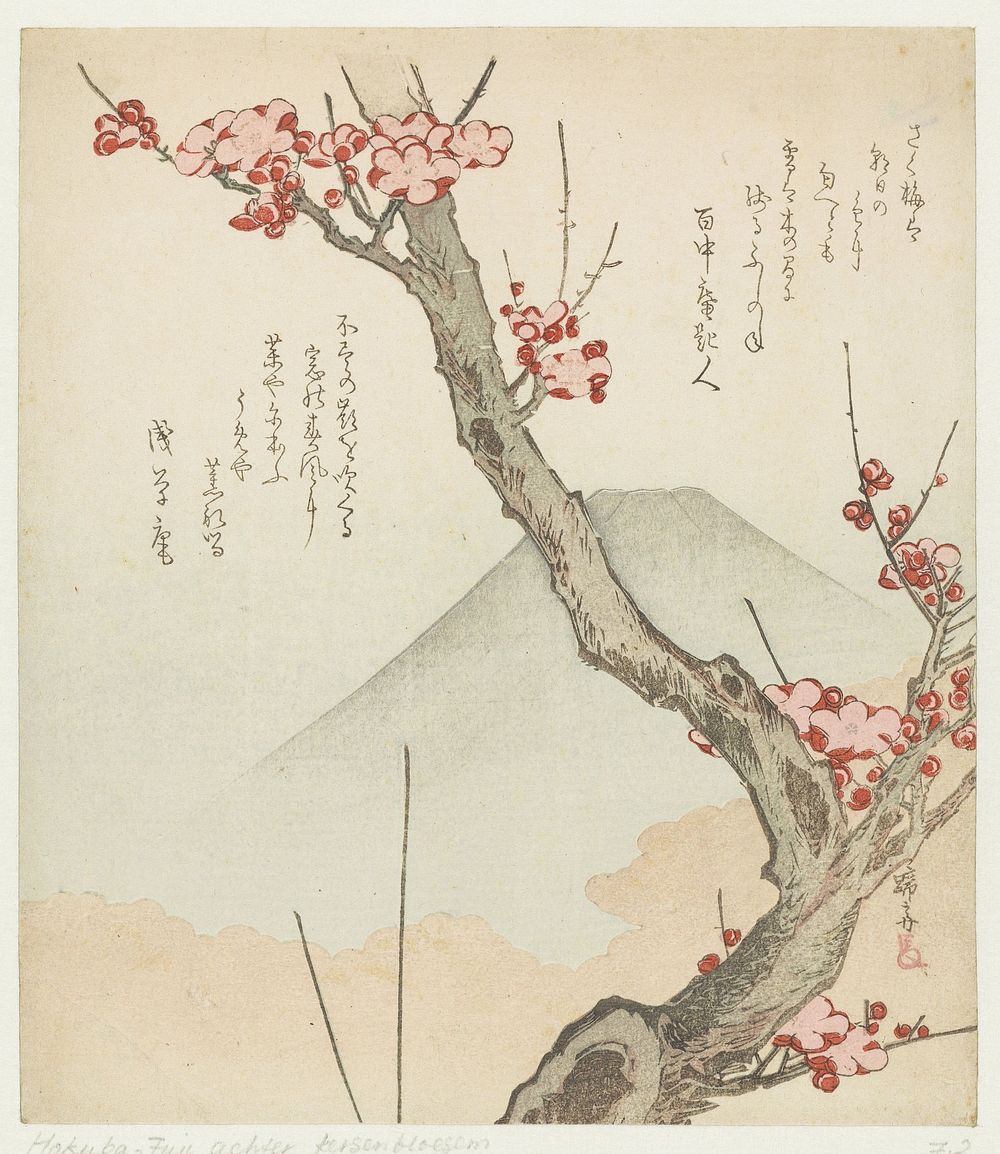 Mount Fuji and a Blossoming Plum (c. 1825) by Teisai Hokuba, Hyakuchûan Sajindo and Asakusaan