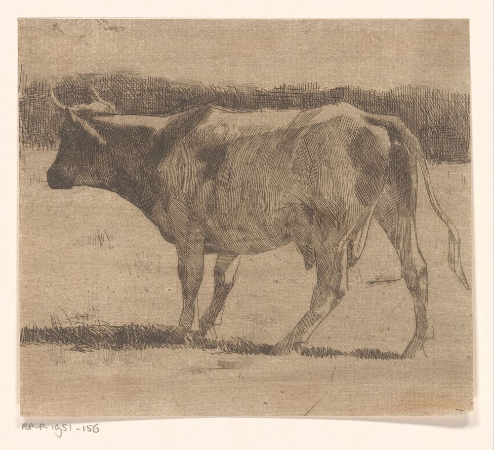 Koe in een weiland (1867 - 1935) by Maurits van der Valk