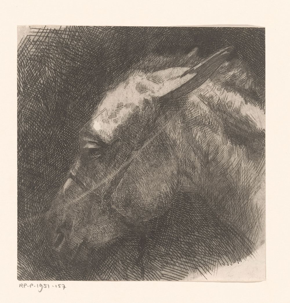 Kop van een muilezel (1867 - 1935) by Maurits van der Valk