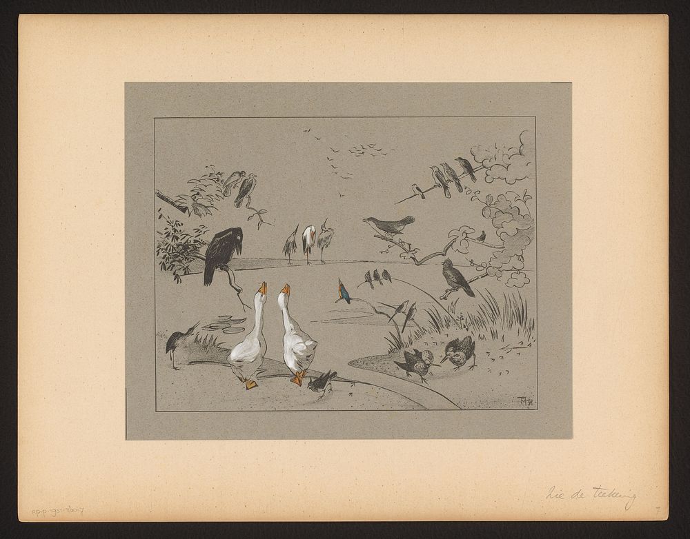 Verschillende vogelsoorten rond een vijver (1892) by Theo van Hoytema and Firma S Lankhout and Co