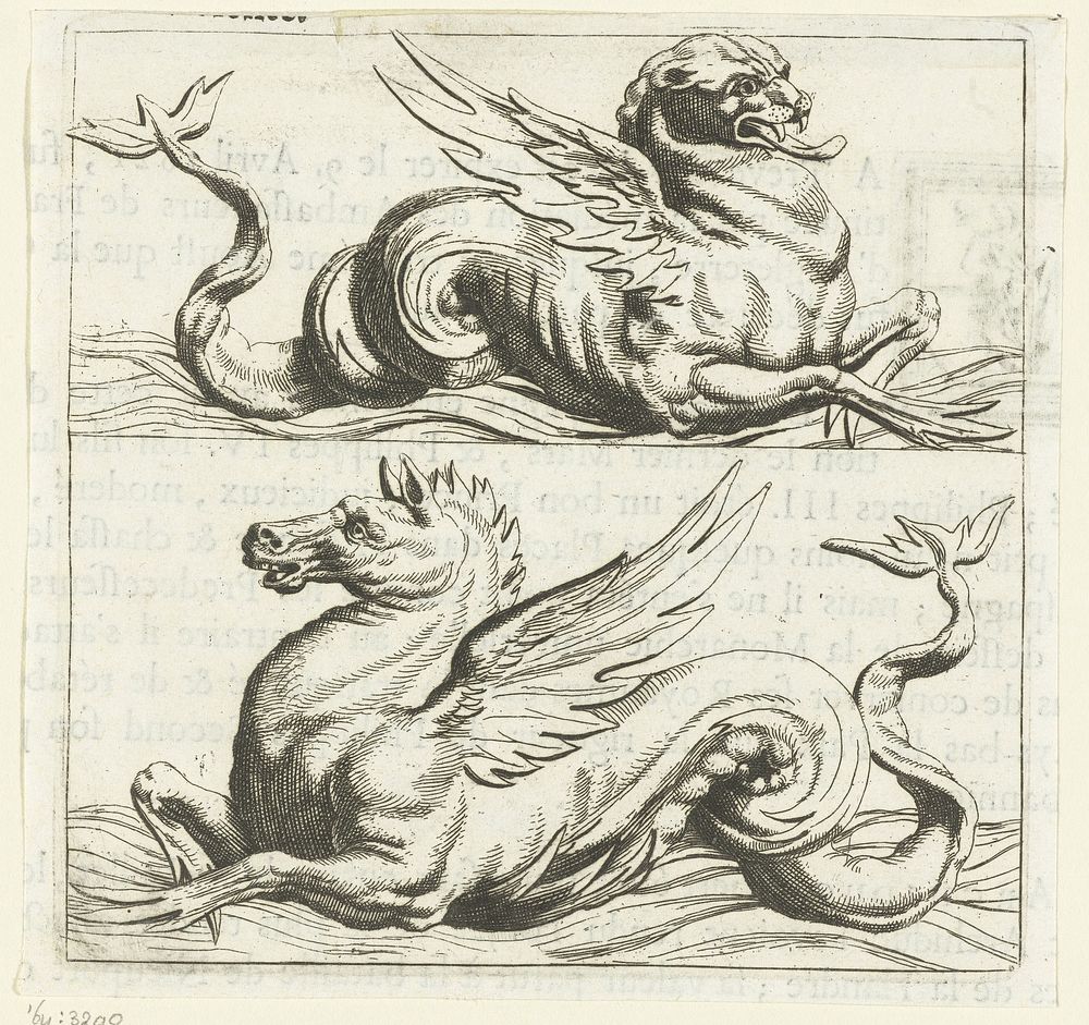 Zeepanter en zeepaard (c. 1688) by anonymous, anonymous and anonymous
