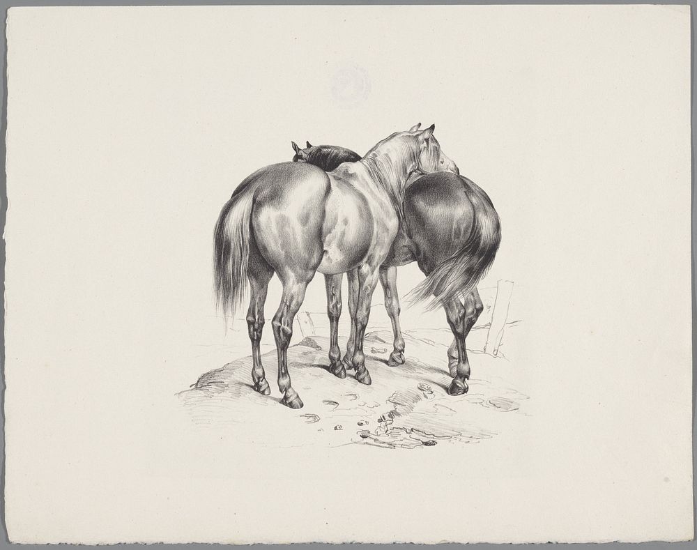 Twee paarden van achteren gezien (1822 - 1845) by anonymous, Hilmar Johannes Backer and Hilmar Johannes Backer