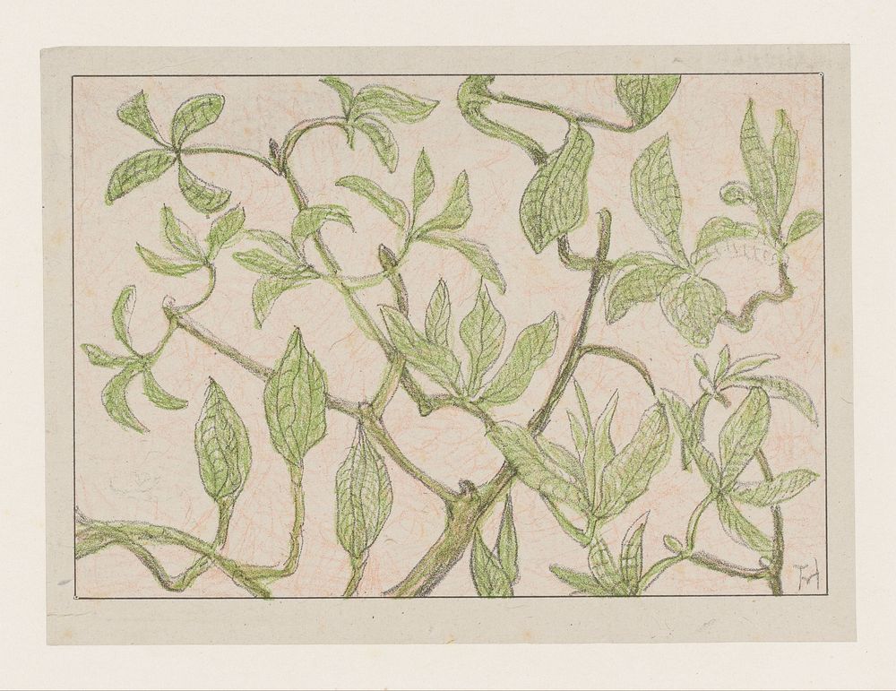 Jonge bladeren en knoppen (1878 - 1914) by Theo van Hoytema