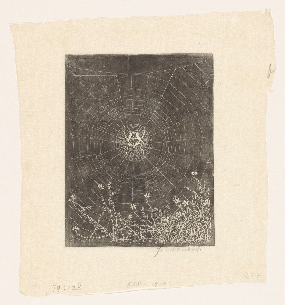 Kruisspin in zijn web (1916) by Jan Mankes