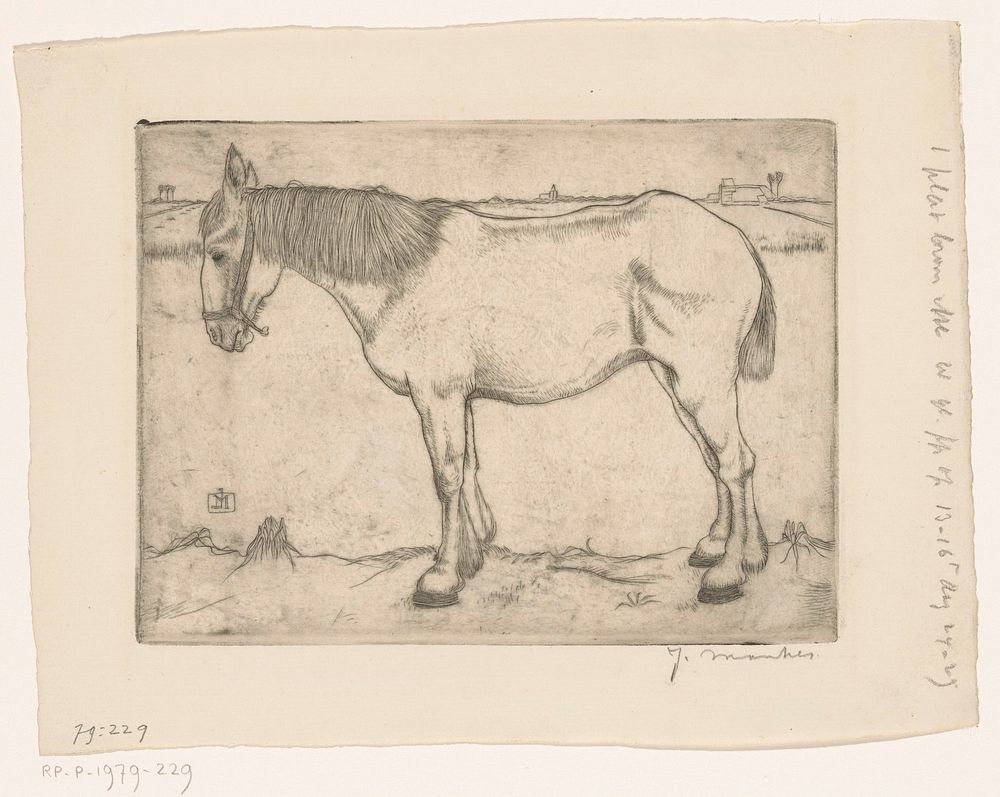 Paard (1917) by Jan Mankes