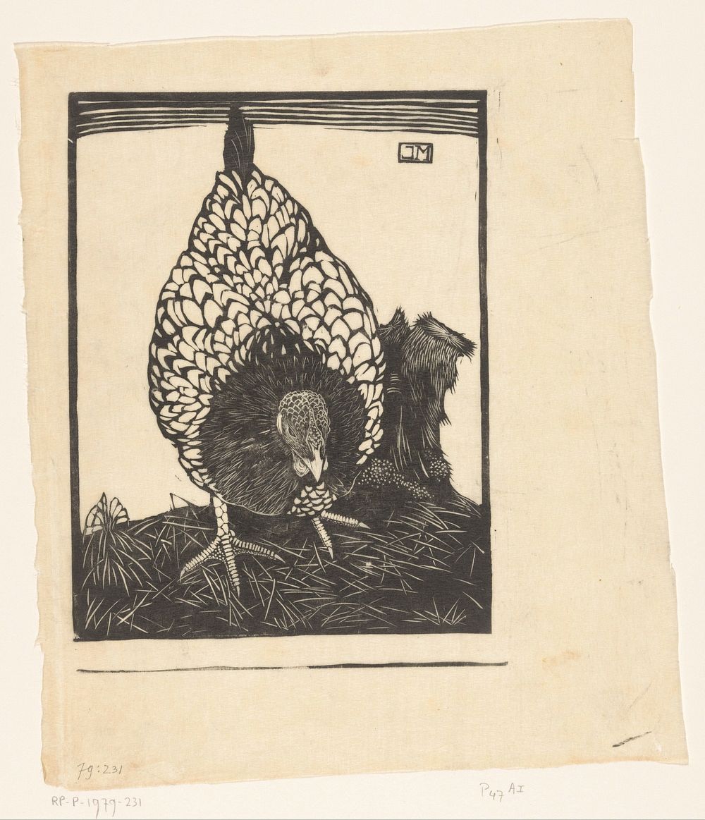 Zilverwyandotte (1917) by Jan Mankes