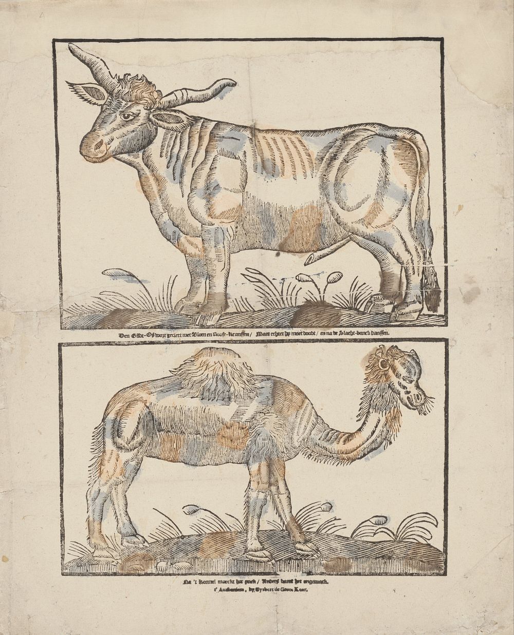 Os en kameel (1738 - 1767) by Gijsbert de Groot Keur and anonymous
