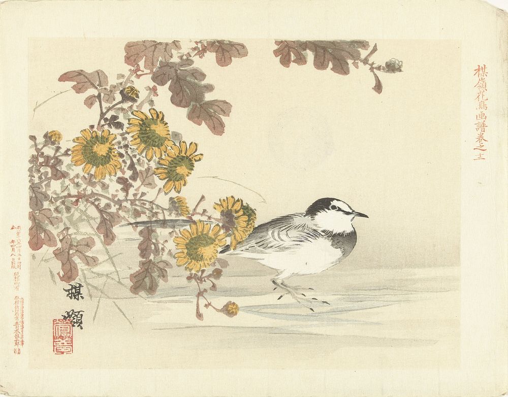 Japanse kwikstaart (1893) by Kôno Bairei, Aoki Kôsaburô and Aoki Kôsaburô