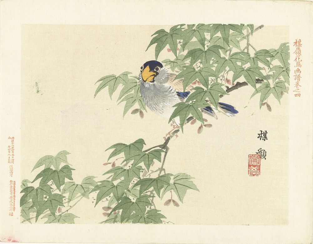Grijs-blauwe vogel (1893) by Kôno Bairei, Aoki Kôsaburô and Aoki Kôsaburô