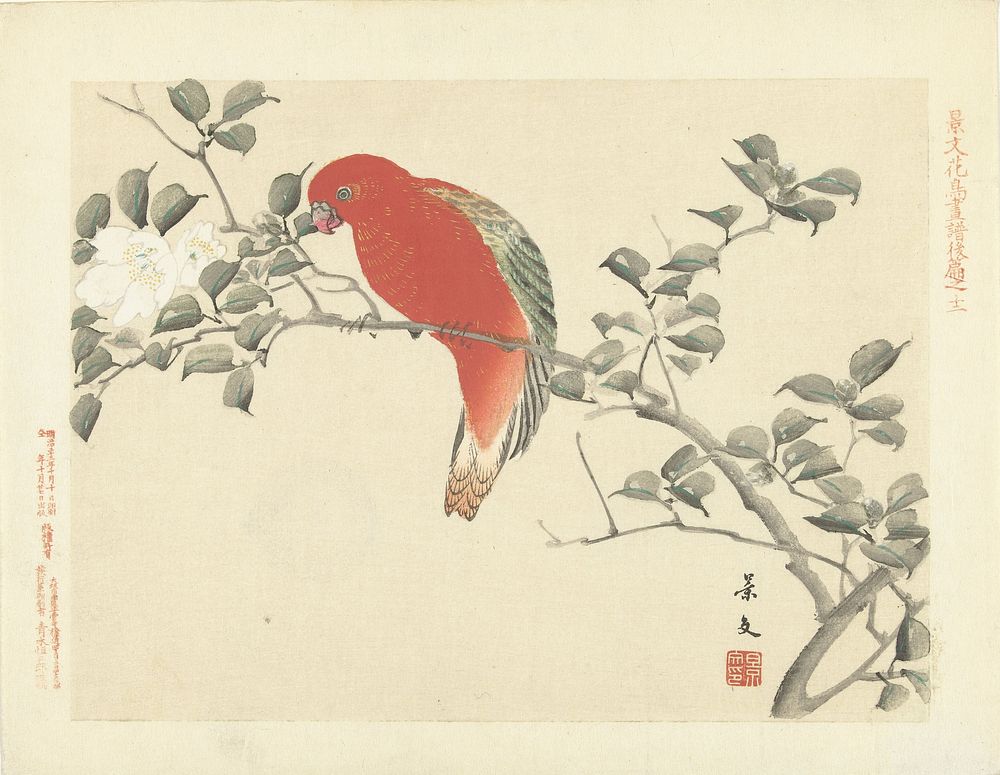 Rode papegaai op tak met witte bloemen (1892) by Matsumura Keibun, Aoki Kôsaburô and Aoki Kôsaburô