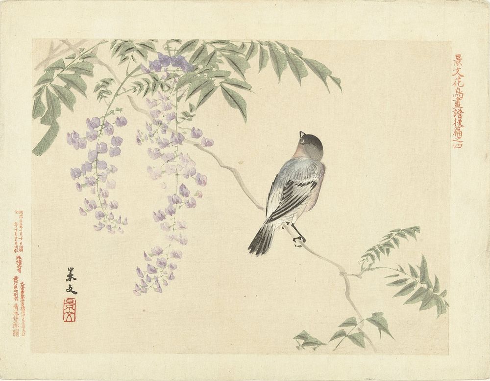 Vogel op wisteriatak (1892) by Matsumura Keibun, Aoki Kôsaburô and Aoki Kôsaburô