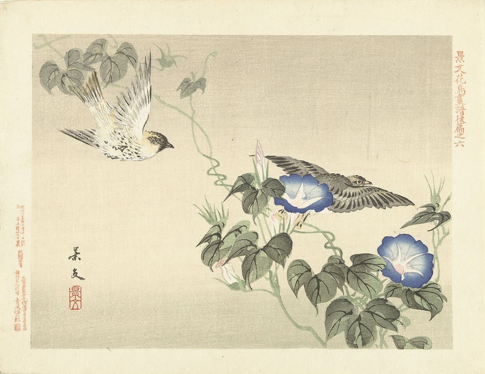 Twee vogels vliegend bij blauwe winde (1892) by Matsumura Keibun, Aoki Kôsaburô and Aoki Kôsaburô
