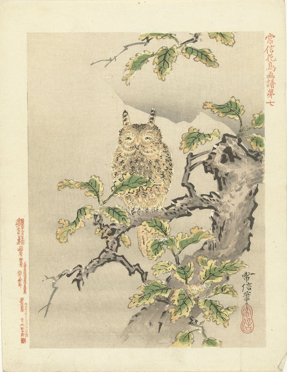 Uil op tak (1893) by Kano Tsunenobu, Aoki Kôsaburô and Aoki Kôsaburô