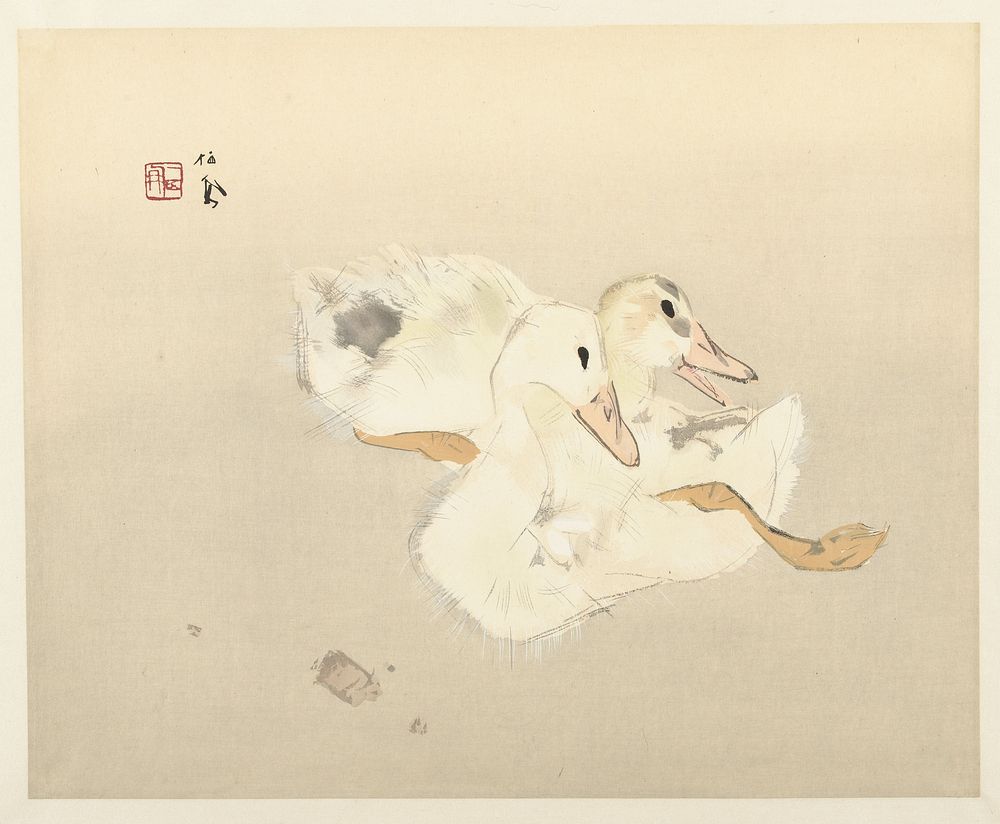 Jonge eenden (1937) by Takeuchi Seihô