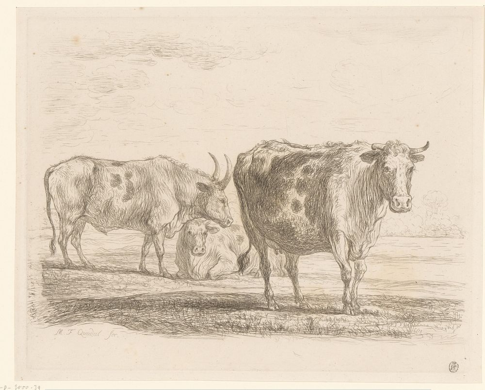 Drie koeien (1793) by Martin Ferdinand Quadal and Martin Ferdinand Quadal