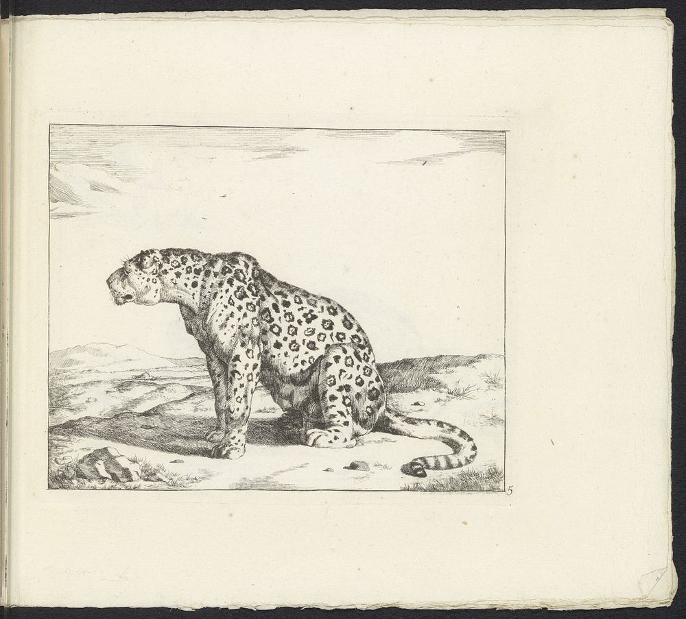 Luipaard zittend op achterpoten, naar links (1657 - 1677) by Marcus de Bye, Paulus Potter and Nicolaes Visscher I
