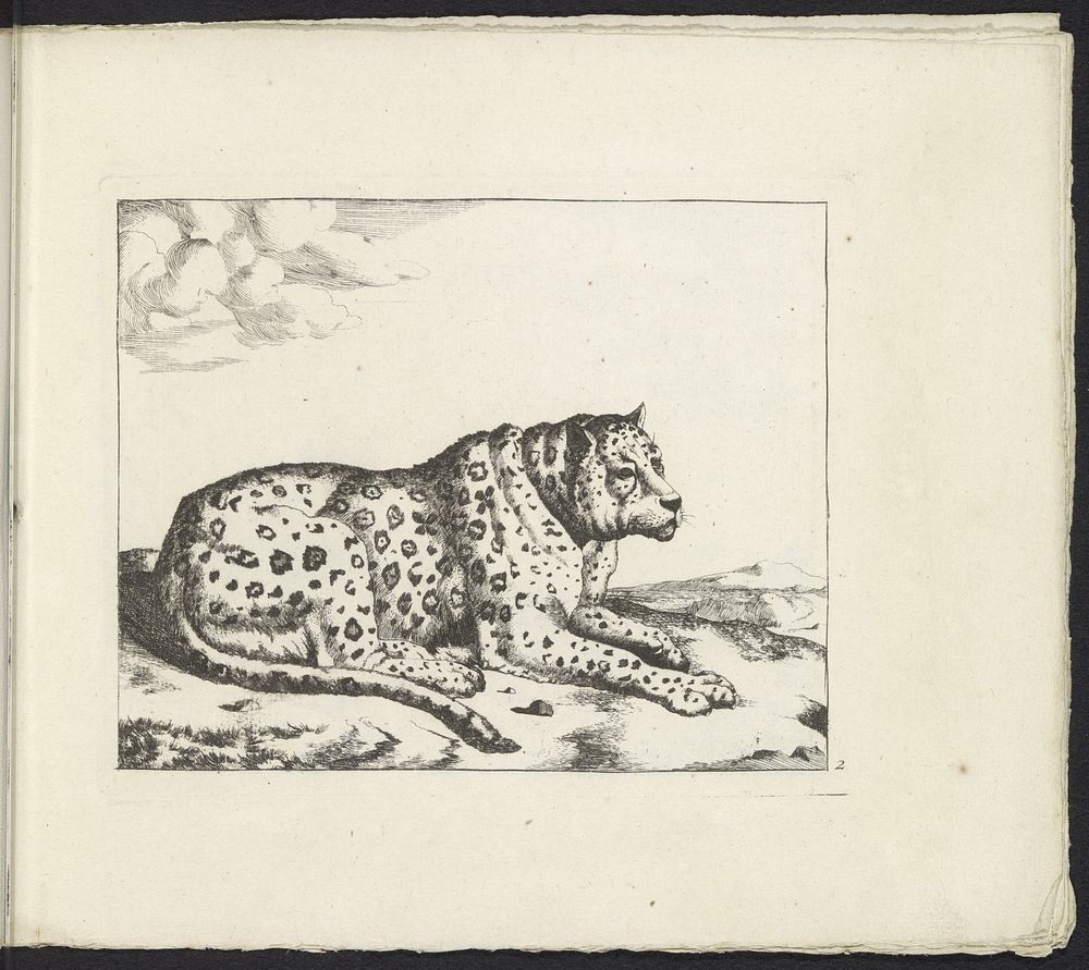 Liggend luipaard, naar rechts, de staart langs het lichaam (1657 - 1677) by Marcus de Bye, Paulus Potter and Nicolaes…