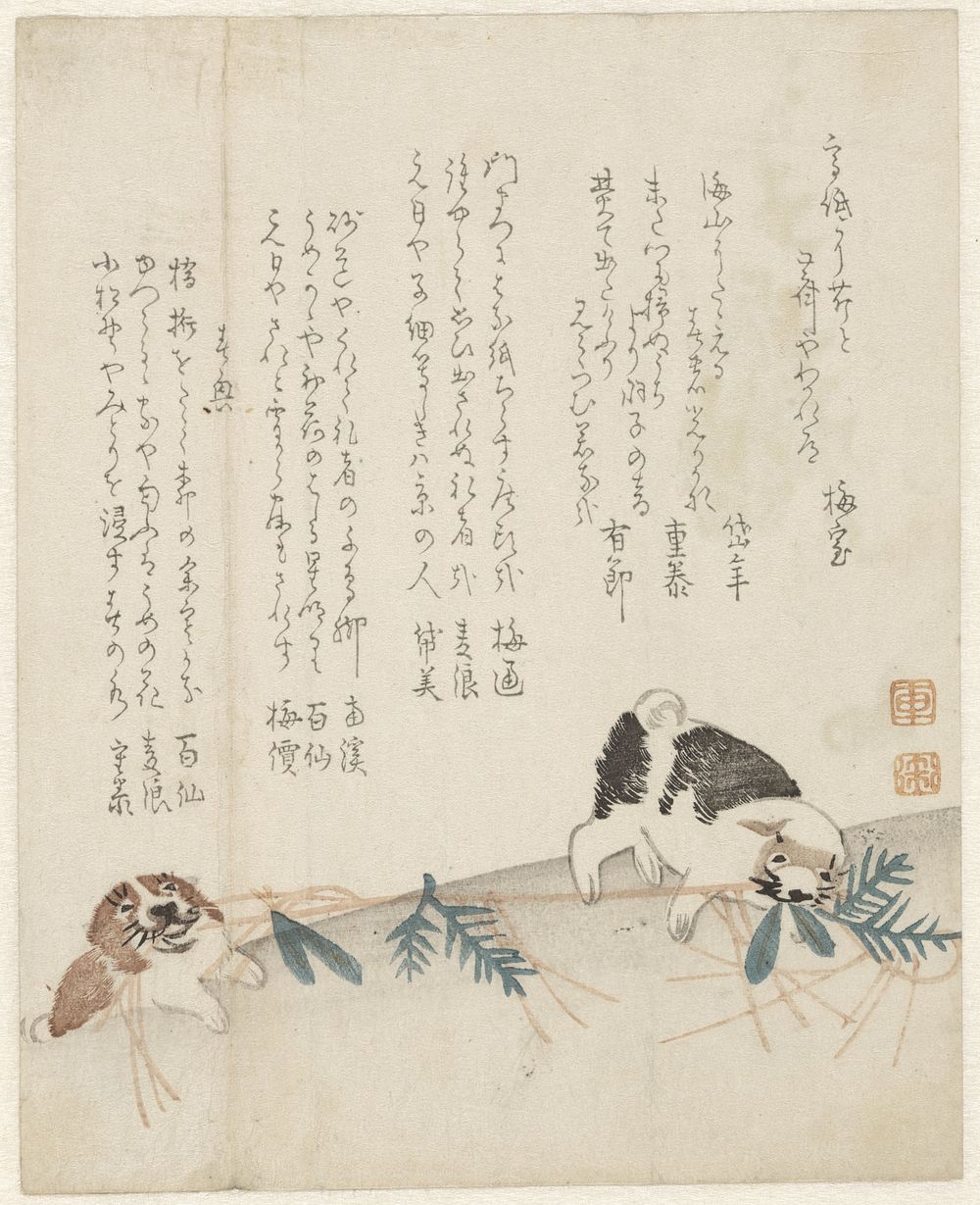 Twee hondjes (1800 - 1900) by anonymous