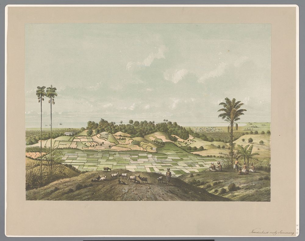 Noordkust nabij Semarang (1853 - 1854) by Carl Wilhelm Mieling, Frans Wilhelm Junghuhn, Koninklijke Nederlandse…