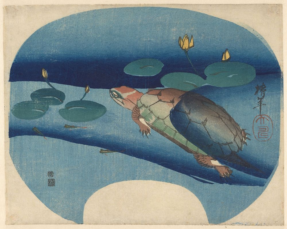 Waaierprent met tussen waterlelies zwemmende schildpad (c. 1829) by Onishi Chinnen
