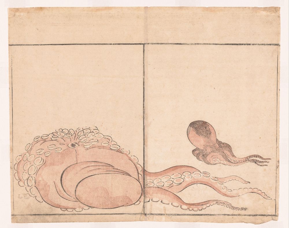 Twee inktvissen (c. 1802) by Kitao Masayoshi