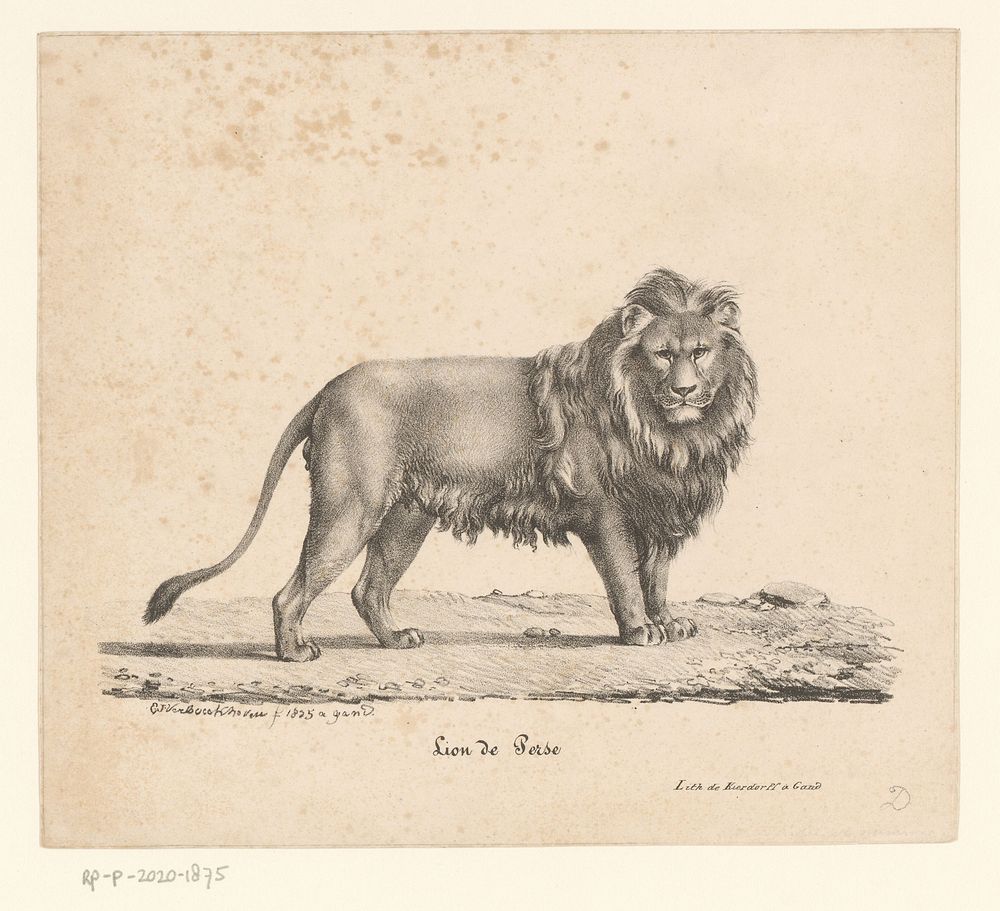 Perzische leeuw (1825) by Eugène Verboeckhoven, Eugène Verboeckhoven and Franciscus Mattheus Jozef Kierdorff