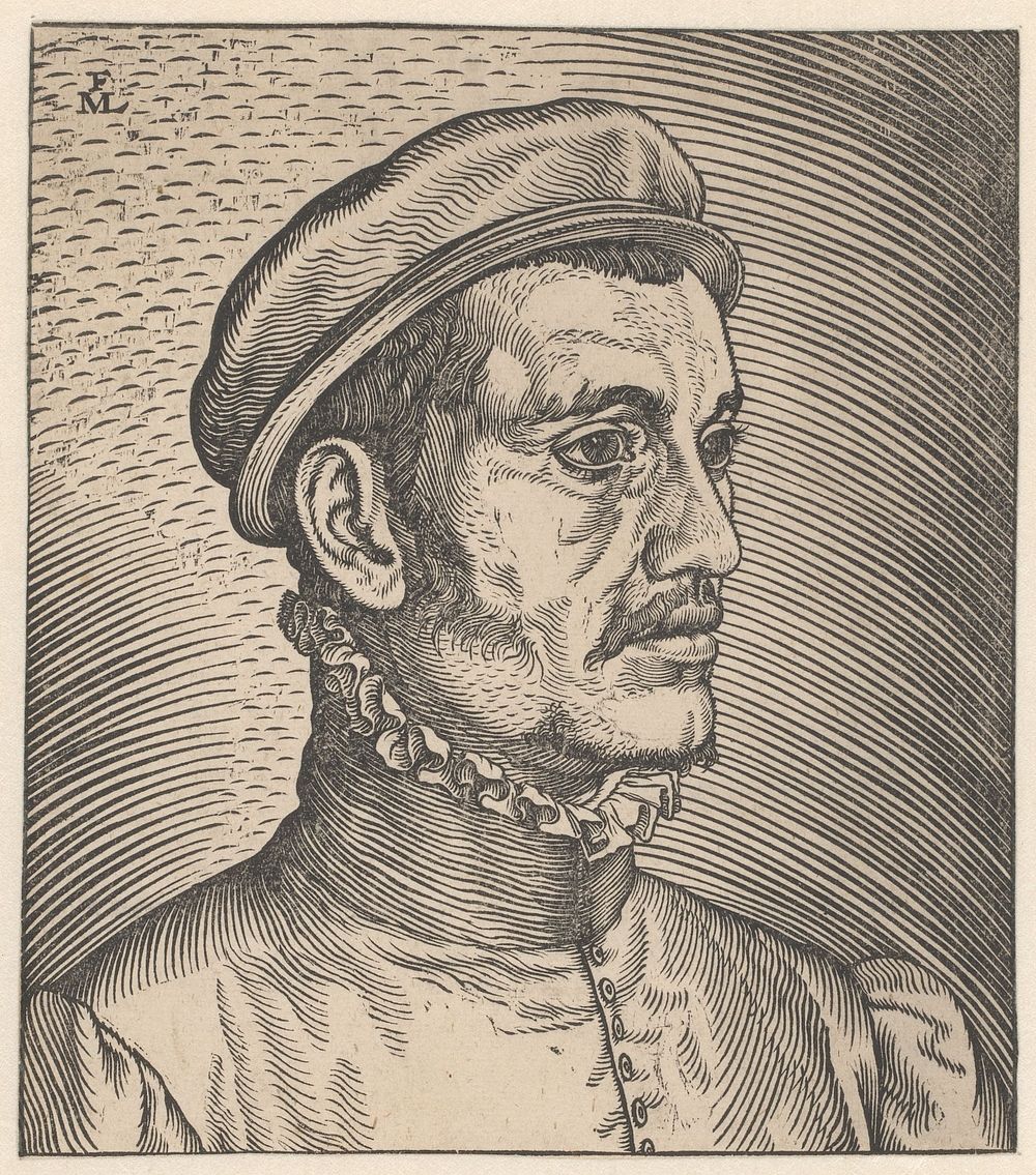 Young man wearing a cap (1564) by Melchior Lorck