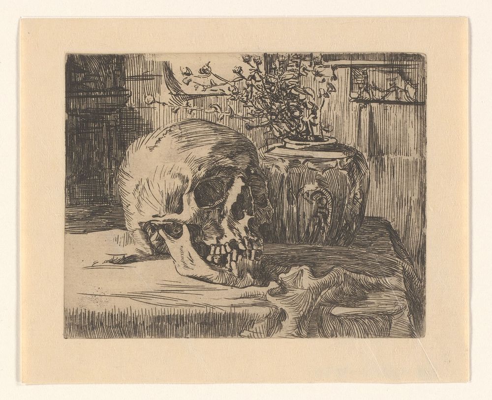 Stilleven met schedel en gemberpot (1880 - 1930) by anonymous