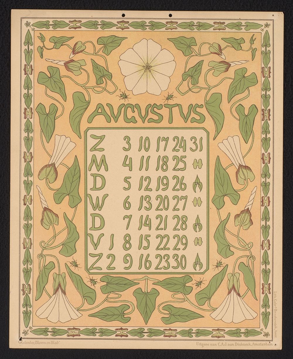 Kalenderblad voor augustus 1902 met akkerwinde en kevers (1901) by Gebroeders Braakensiek, Netty van der Waarden and C A J…