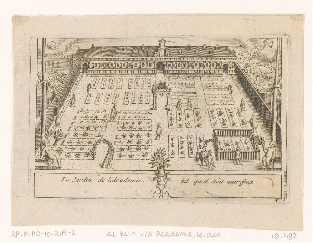 Gezicht op de Hortus Botanicus te Leiden (1712) by anonymous and Pieter van der Aa I