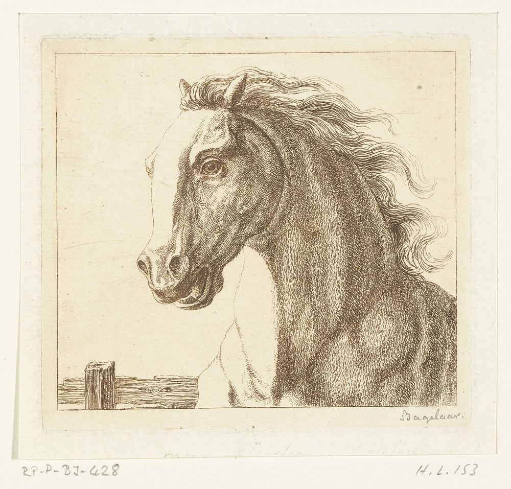 Paardenhoofd (1798 - 1837) by Ernst Willem Jan Bagelaar