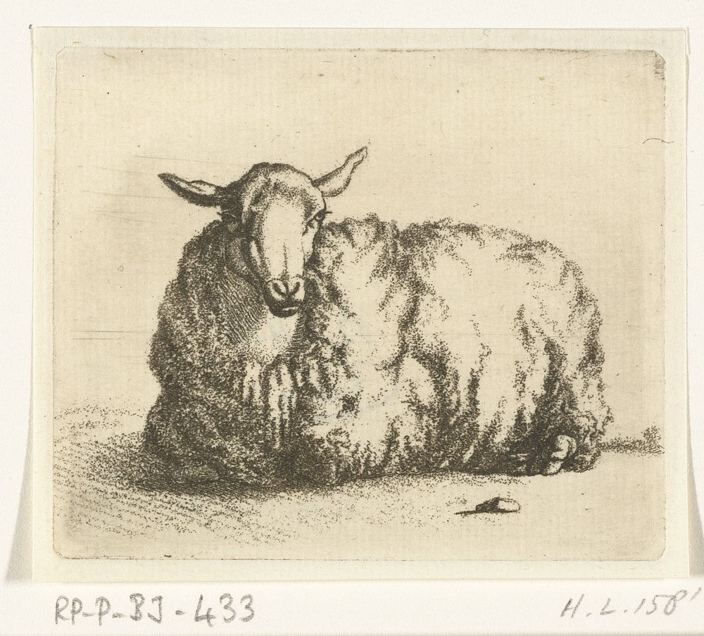 Liggend schaap van voren (1798 - 1837) by Ernst Willem Jan Bagelaar and Paulus Potter