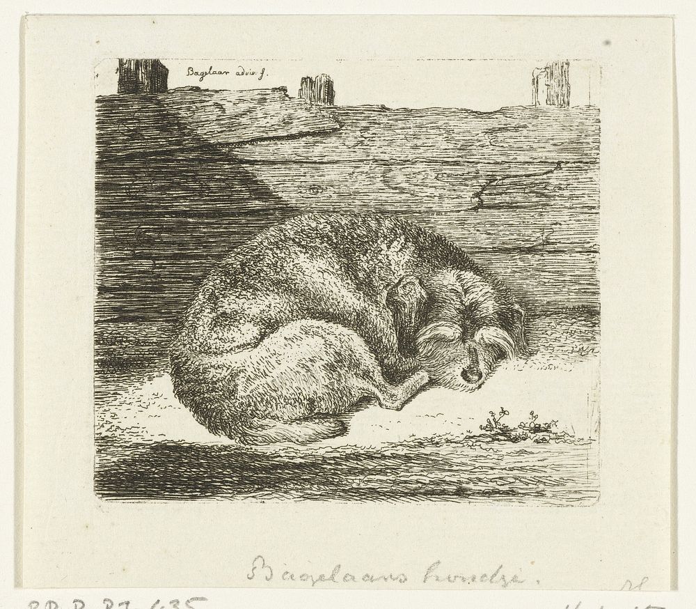 Slapende hond (1798 - 1837) by Ernst Willem Jan Bagelaar and Ernst Willem Jan Bagelaar