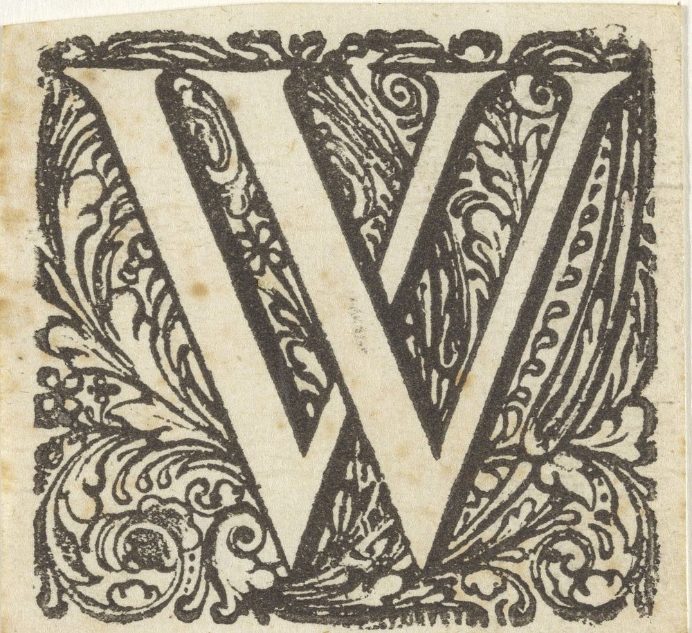 Letter W in een geornamenteerde omlijsting (1600 - 1699) by anonymous and Dirck de Bray