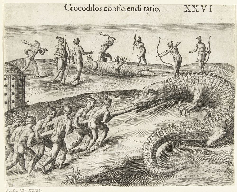 Oorspronkelijke Amerikanen vangen een krokodil (1591) by Theodor de Bry, Johann Theodor de Bry and anonymous