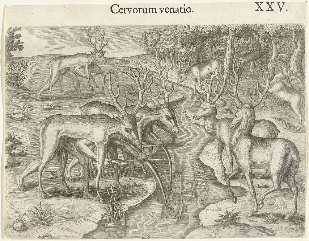 Hertenjacht bij oorspronkelijke bewoners van Amerika (1591) by Theodor de Bry, Johann Theodor de Bry and Theodor de Bry