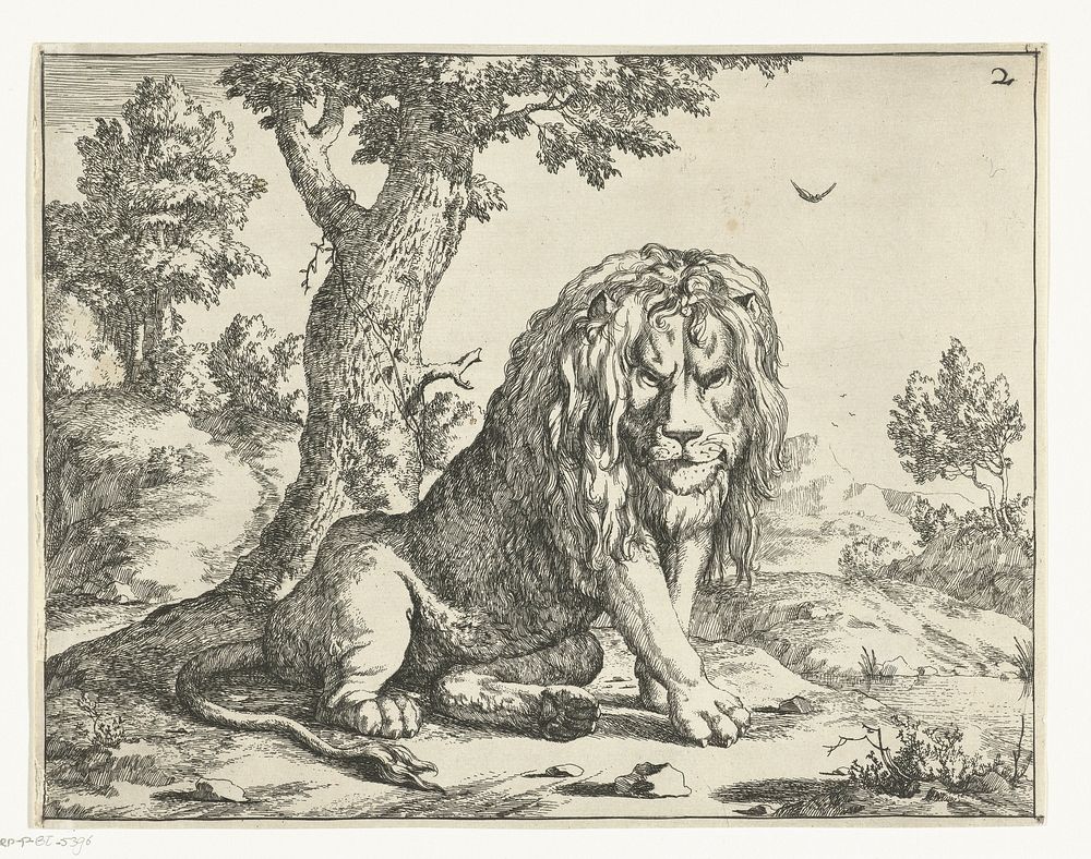 Leeuw zittend bij boom (1664) by Marcus de Bye and Paulus Potter