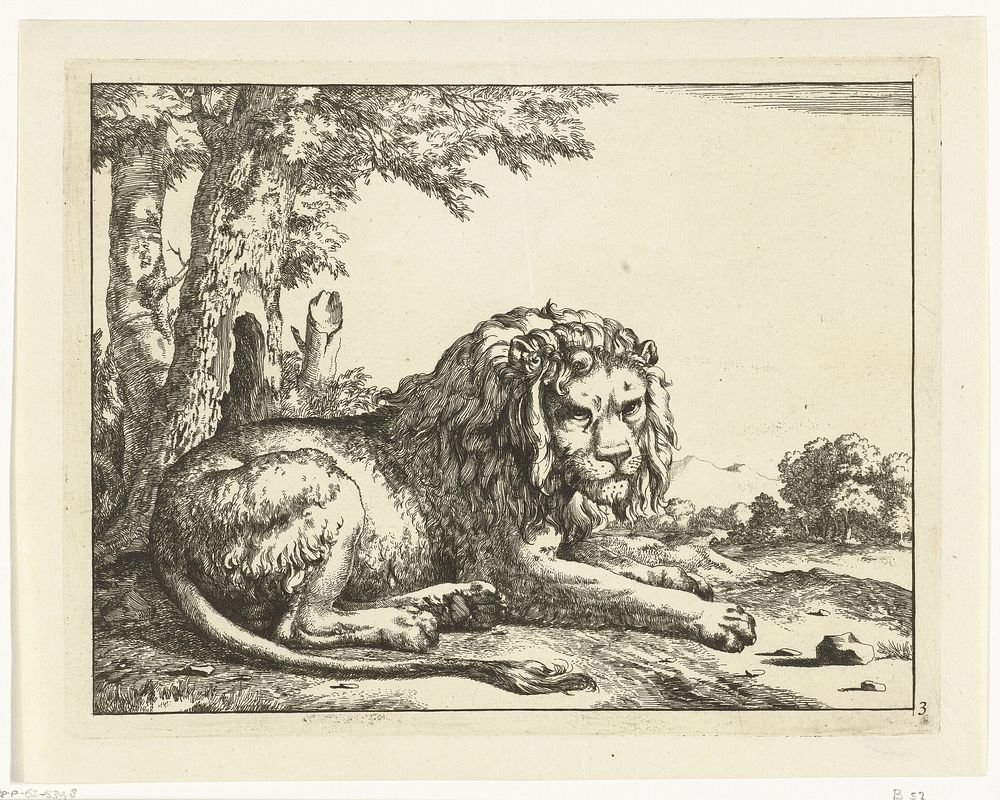 Liggende leeuw de staart op de voorgrond (1664) by Marcus de Bye and Paulus Potter