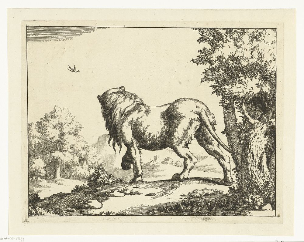 Staande leeuw van achter gezien (1664) by Marcus de Bye and Paulus Potter