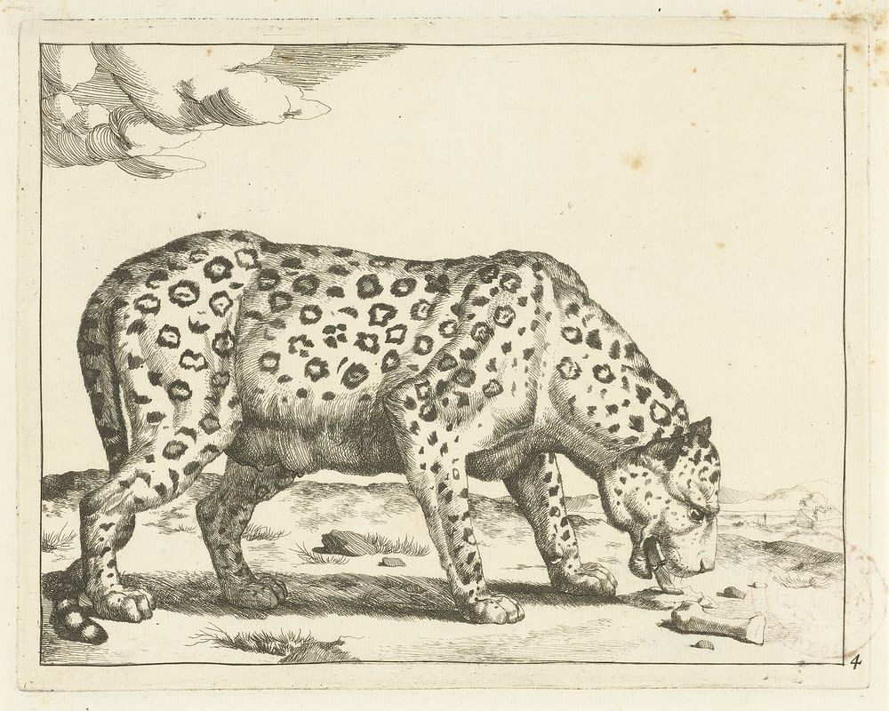 Etend luipaard (1728 - c. 1761) by Marcus de Bye and Paulus Potter