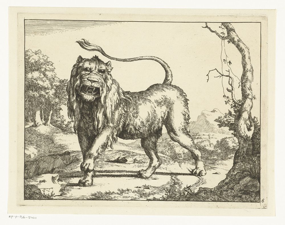 Brullende leeuw, de staart in de lucht (1664) by Marcus de Bye and Paulus Potter