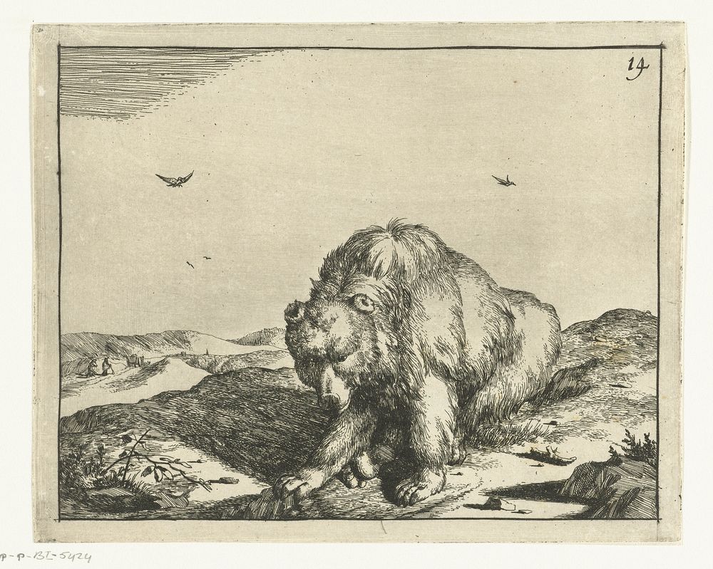 Zittende beer van voren gezien (1664) by Marcus de Bye and Marcus Gheeraerts I