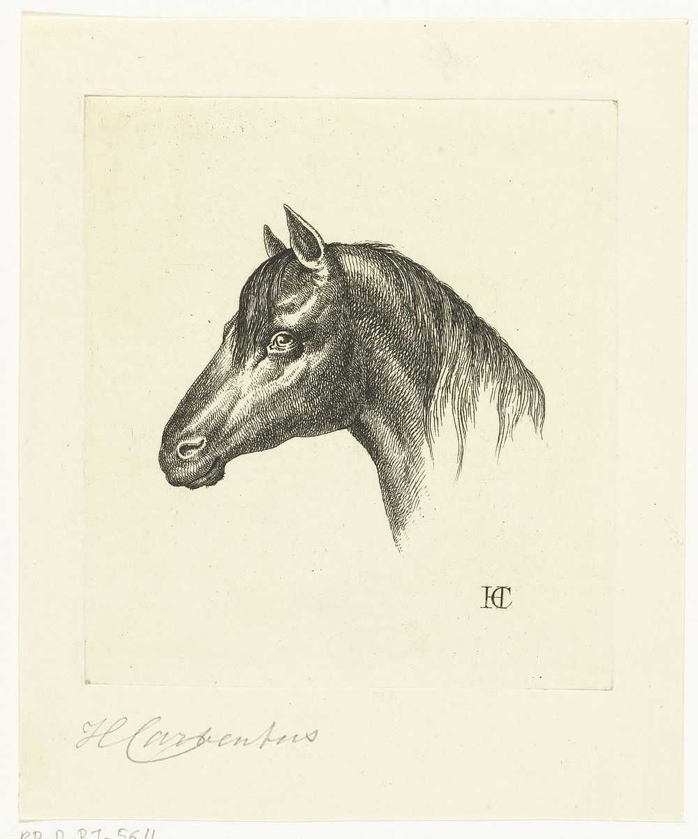 Hoofd van een paard (1803 - 1854) by Hermanus Carbentus