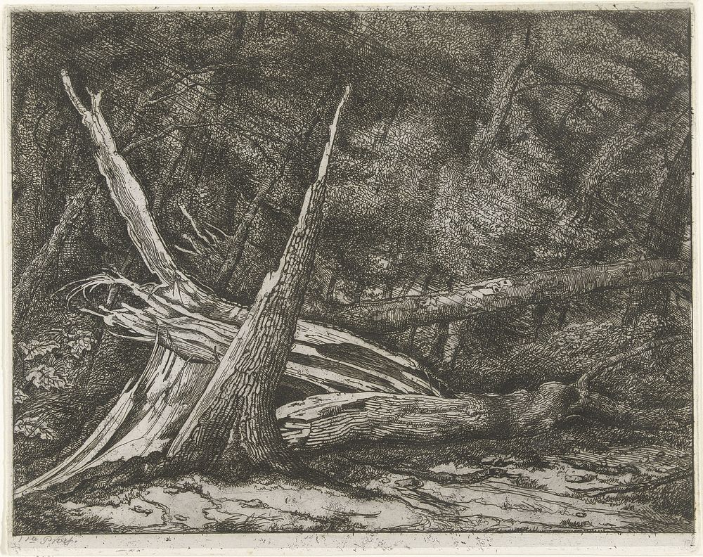 Gevelde bomen na een storm (1853 - 1882) by Jacobus Ludovicus Cornet and Jacobus Ludovicus Cornet