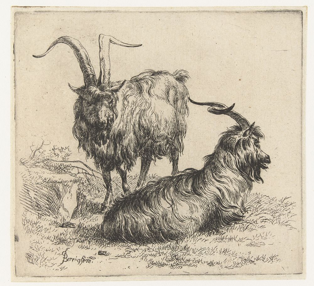 Twee bokken (1648 - 1652) by Nicolaes Pietersz Berchem and Nicolaes Pietersz Berchem