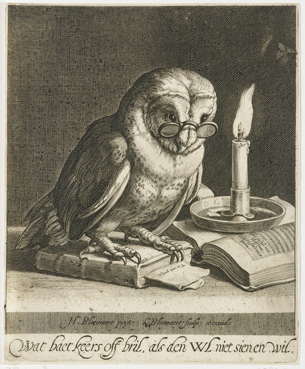 Uil met bril en boeken (c. 1625) by Cornelis Bloemaert II, Hendrick Bloemaert and Cornelis Bloemaert II