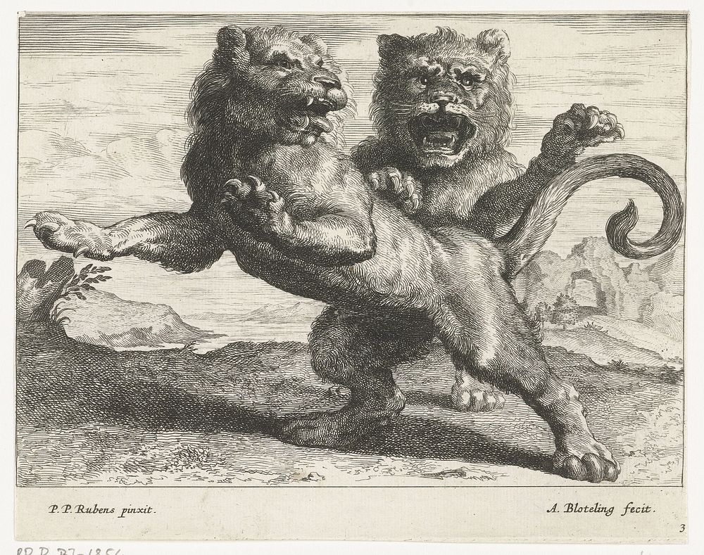 Twee brullende leeuwen (1655 - 1690) by Abraham Bloteling, Peter Paul Rubens and Nicolaes Visscher I